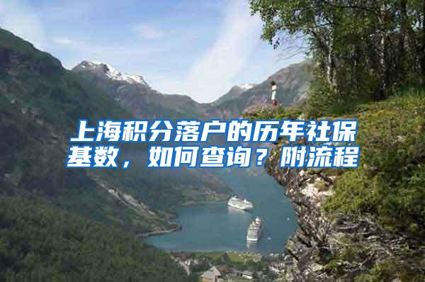 上海积分落户的历年社保基数，如何查询？附流程