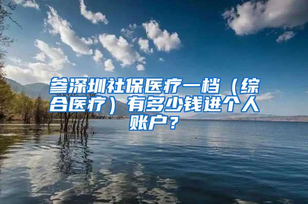 参深圳社保医疗一档（综合医疗）有多少钱进个人账户？