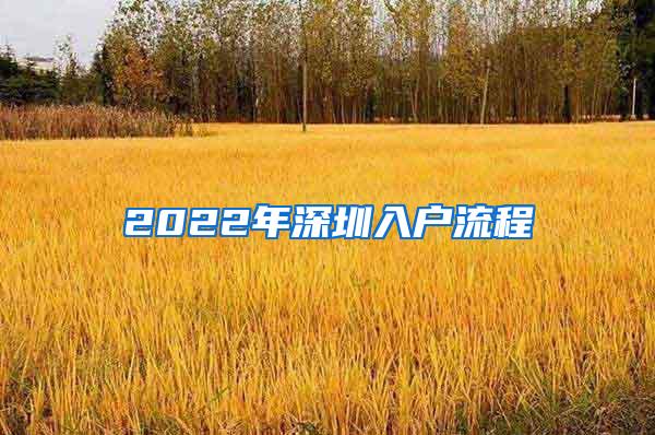 2022年深圳入户流程