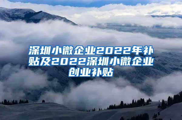 深圳小微企业2022年补贴及2022深圳小微企业创业补贴