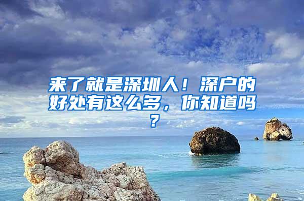 来了就是深圳人！深户的好处有这么多，你知道吗？