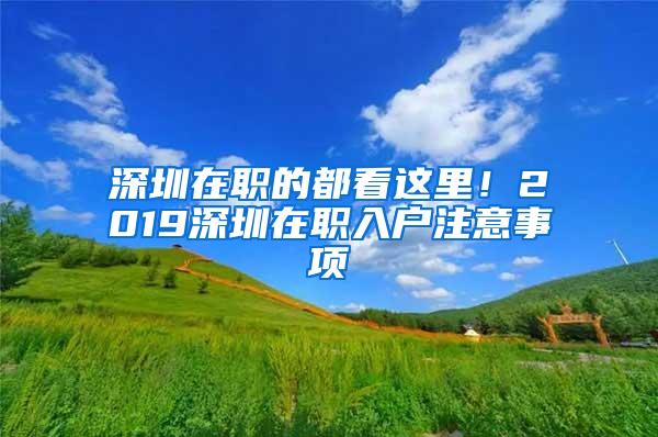 深圳在职的都看这里！2019深圳在职入户注意事项