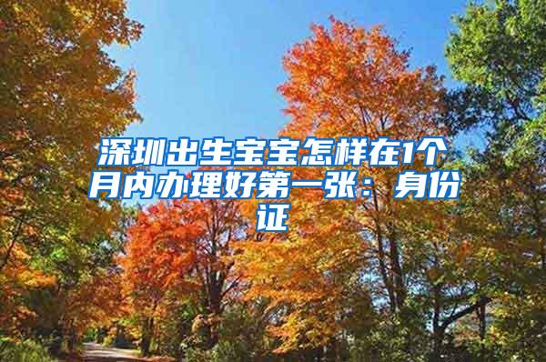 深圳出生宝宝怎样在1个月内办理好第一张：身份证