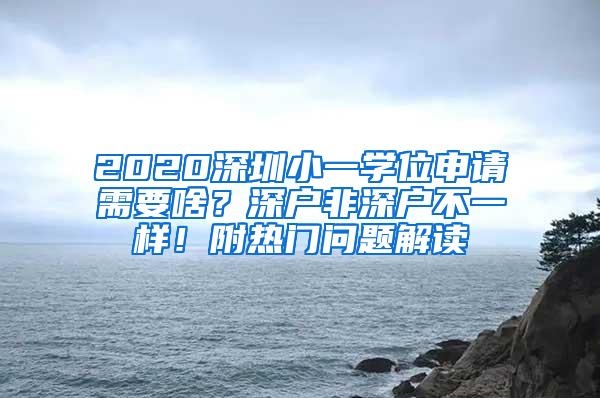 2020深圳小一学位申请需要啥？深户非深户不一样！附热门问题解读