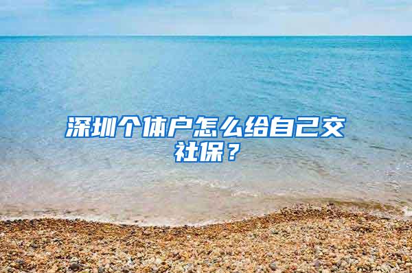 深圳个体户怎么给自己交社保？