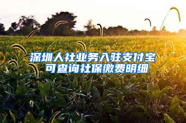 深圳人社业务入驻支付宝 可查询社保缴费明细