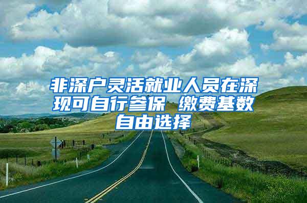 非深户灵活就业人员在深现可自行参保 缴费基数自由选择