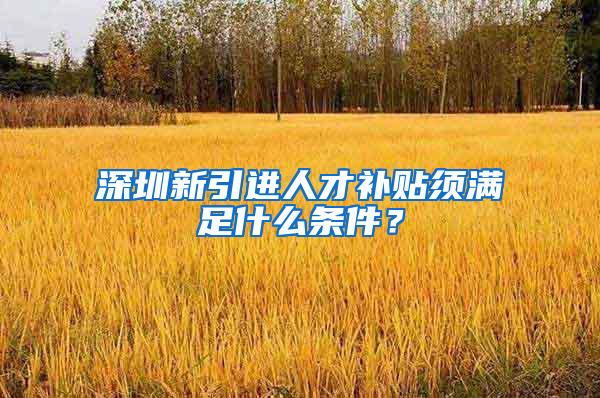 深圳新引进人才补贴须满足什么条件？