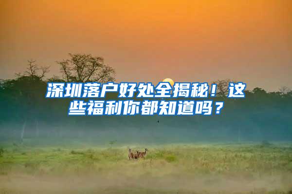 深圳落户好处全揭秘！这些福利你都知道吗？