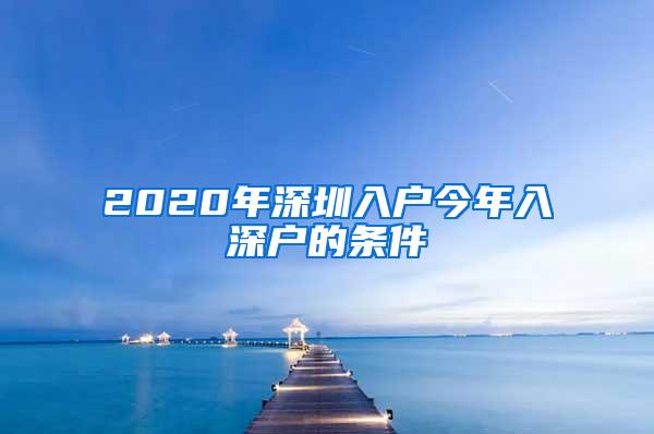 2020年深圳入户今年入深户的条件