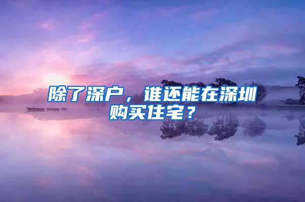 除了深户，谁还能在深圳购买住宅？