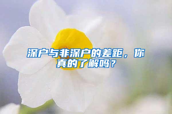 深户与非深户的差距，你真的了解吗？