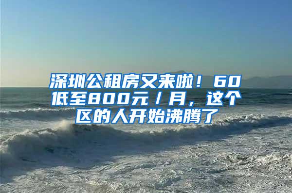 深圳公租房又来啦！60㎡低至800元／月，这个区的人开始沸腾了