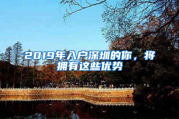 2019年入户深圳的你，将拥有这些优势