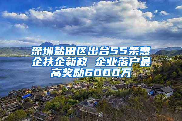 深圳盐田区出台55条惠企扶企新政 企业落户最高奖励6000万