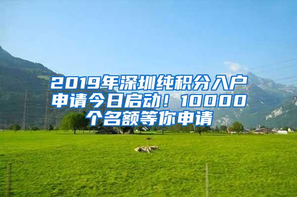 2019年深圳纯积分入户申请今日启动！10000个名额等你申请