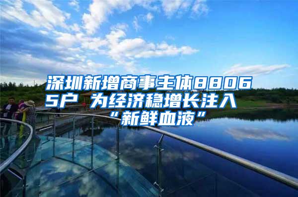 深圳新增商事主体88065户 为经济稳增长注入“新鲜血液”