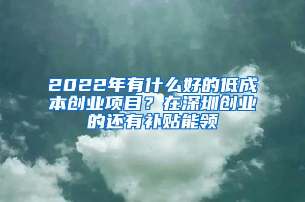 2022年有什么好的低成本创业项目？在深圳创业的还有补贴能领