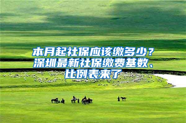 本月起社保应该缴多少？深圳最新社保缴费基数、比例表来了