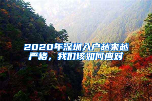 2020年深圳入户越来越严格，我们该如何应对