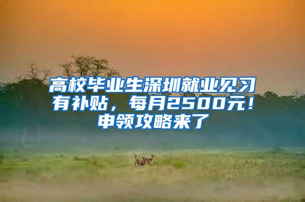 高校毕业生深圳就业见习有补贴，每月2500元！申领攻略来了