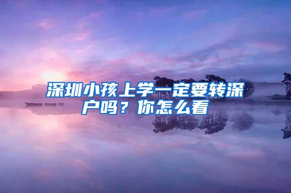 深圳小孩上学一定要转深户吗？你怎么看