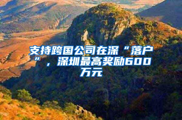 支持跨国公司在深“落户”，深圳最高奖励600万元
