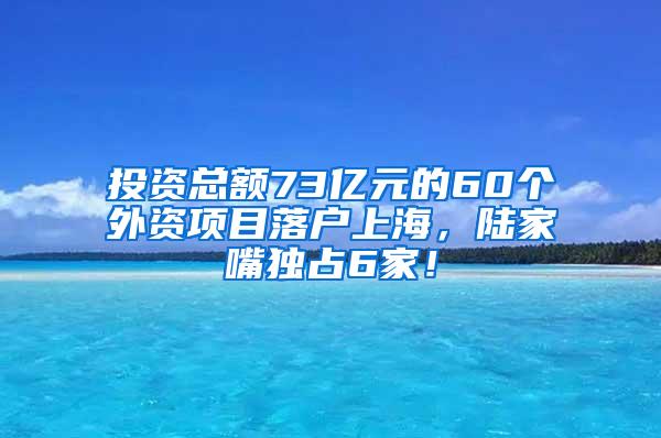 投资总额73亿元的60个外资项目落户上海，陆家嘴独占6家！