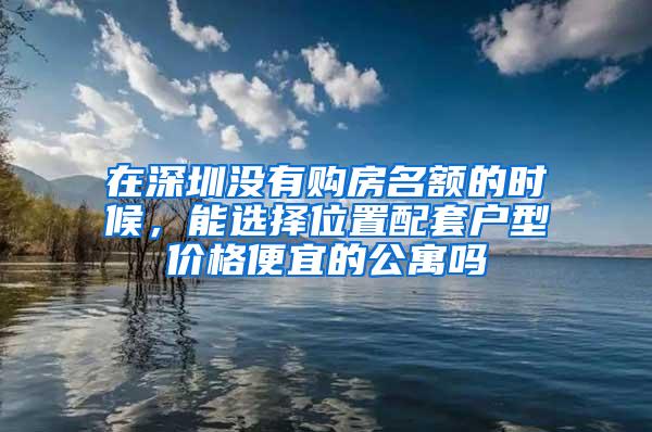 在深圳没有购房名额的时候，能选择位置配套户型价格便宜的公寓吗