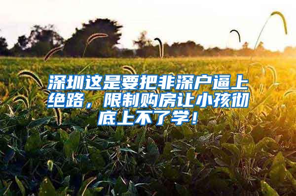 深圳这是要把非深户逼上绝路，限制购房让小孩彻底上不了学！