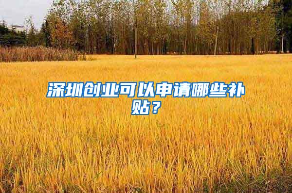 深圳创业可以申请哪些补贴？