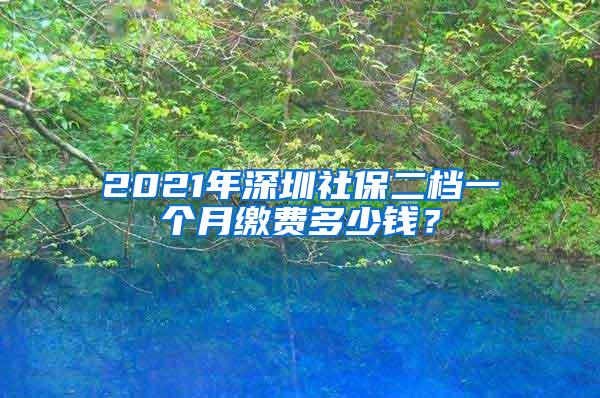 2021年深圳社保二档一个月缴费多少钱？