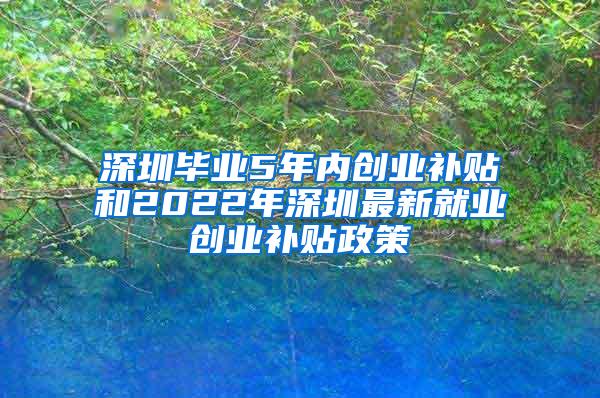 深圳毕业5年内创业补贴和2022年深圳最新就业创业补贴政策