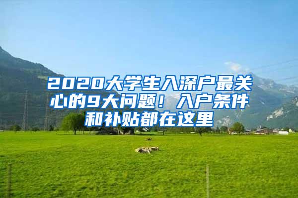 2020大学生入深户最关心的9大问题！入户条件和补贴都在这里