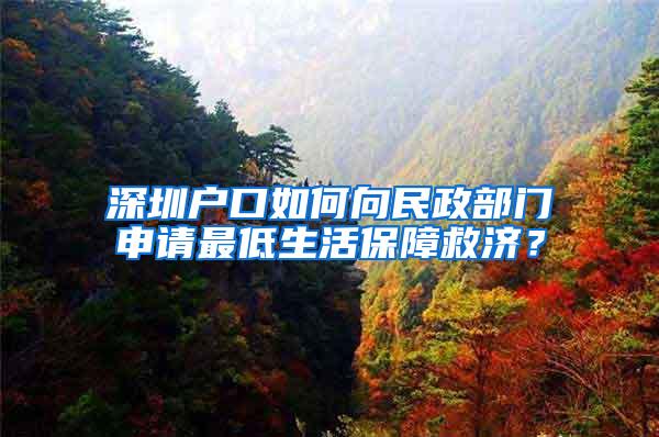 深圳户口如何向民政部门申请最低生活保障救济？