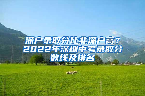 深户录取分比非深户高？2022年深圳中考录取分数线及排名