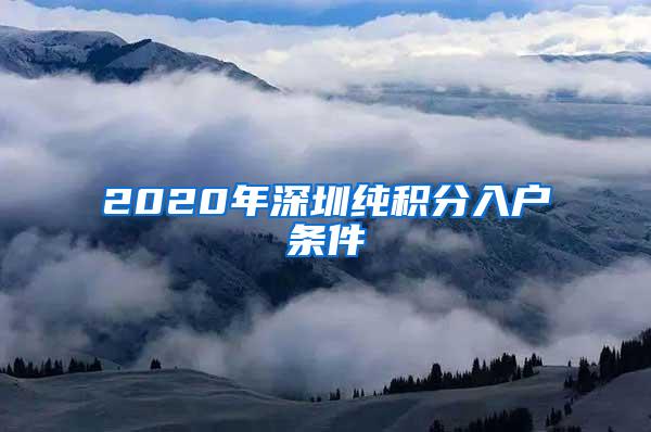 2020年深圳纯积分入户条件