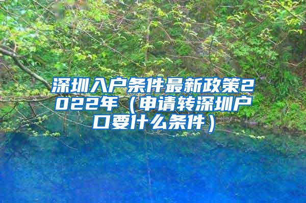 深圳入户条件最新政策2022年（申请转深圳户口要什么条件）