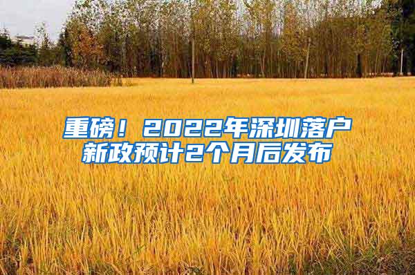 重磅！2022年深圳落户新政预计2个月后发布