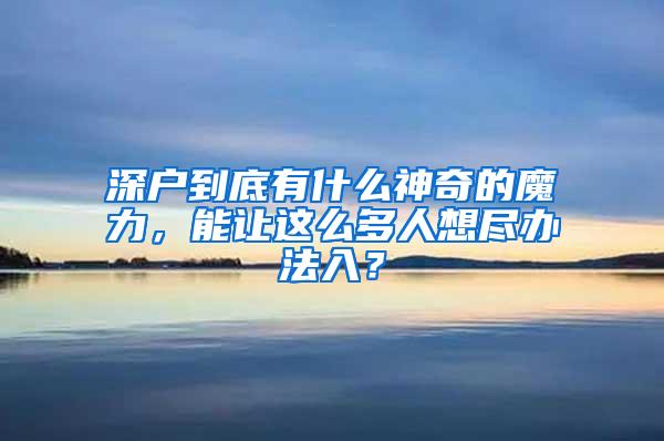 深户到底有什么神奇的魔力，能让这么多人想尽办法入？