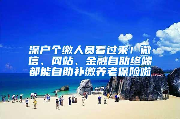 深户个缴人员看过来！微信、网站、金融自助终端都能自助补缴养老保险啦