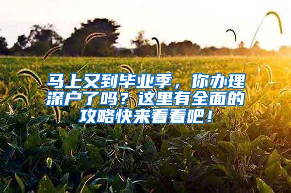 马上又到毕业季，你办理深户了吗？这里有全面的攻略快来看看吧！