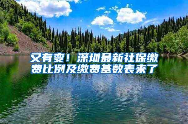 又有变！深圳最新社保缴费比例及缴费基数表来了