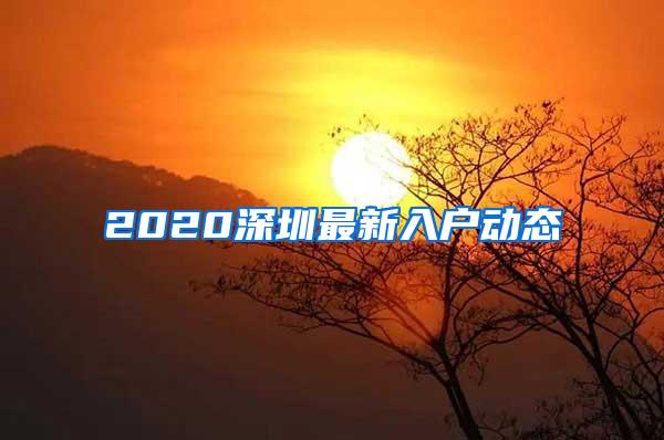 2020深圳最新入户动态