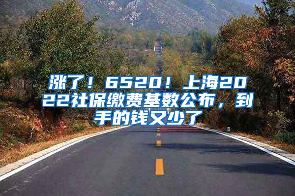 涨了！6520！上海2022社保缴费基数公布，到手的钱又少了