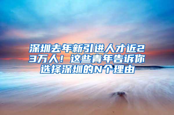 深圳去年新引进人才近23万人！这些青年告诉你选择深圳的N个理由