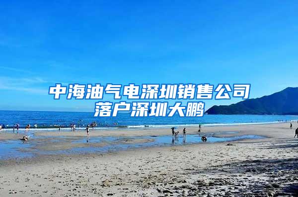 中海油气电深圳销售公司落户深圳大鹏