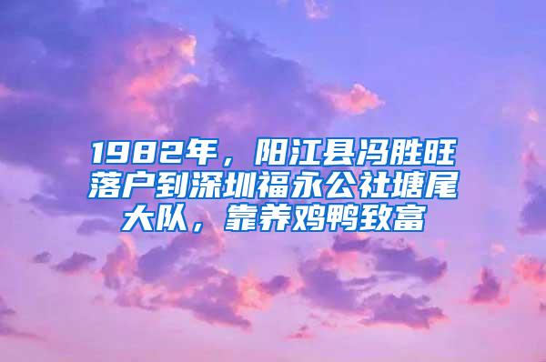 1982年，阳江县冯胜旺落户到深圳福永公社塘尾大队，靠养鸡鸭致富