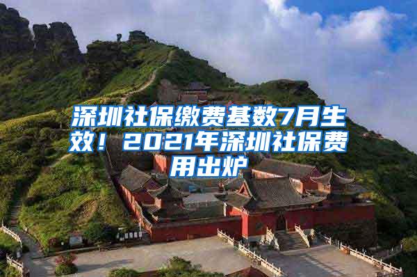 深圳社保缴费基数7月生效！2021年深圳社保费用出炉