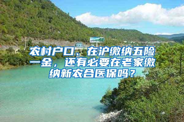 农村户口、在沪缴纳五险一金，还有必要在老家缴纳新农合医保吗？